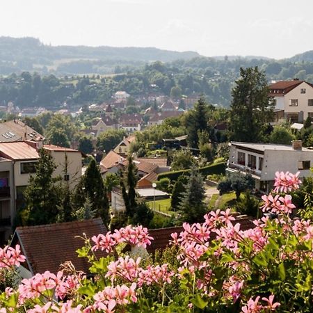 Bed and Breakfast Element Czeski Krumlow Zewnętrze zdjęcie